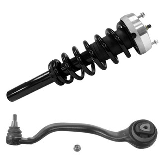 Unity® - Front Driver Side Strut Assembly and Control Arm Kit