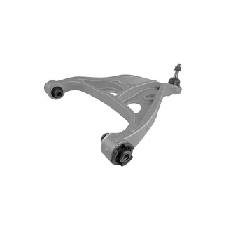 Unity® - Front Driver Side Lower Control Arm