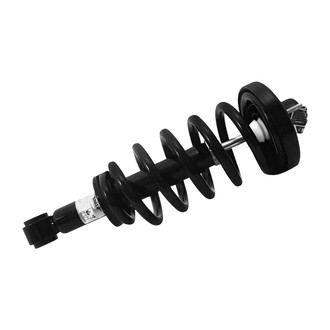 Unity® - Rear Driver or Passenger Side Complete Strut Assembly