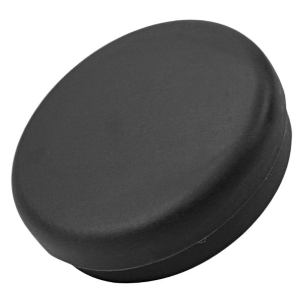 Viair® - 1/4" NPT Black Plastic Direct Inlet Air Filter
