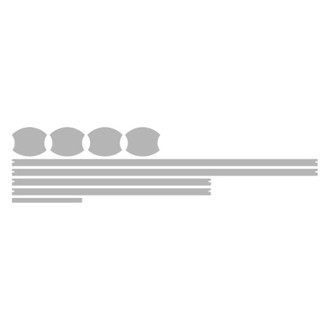 Vicrez® - Paint PPF Pre-Cut Appearance A Kit Protection
