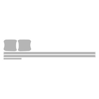 Vicrez® - Paint PPF Pre-Cut Appearance A Kit Protection
