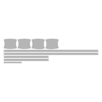 Vicrez® - Paint PPF Pre-Cut Appearance A Kit Protection