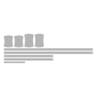 Vicrez® - Paint PPF Pre-Cut Appearance A Kit Protection