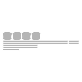 Vicrez® - Paint PPF Pre-Cut Appearance A Kit Protection