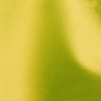 Vicrez® - 5' x 55' Metallic Green Vinyl Car Wrap Film