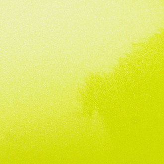 Vicrez® - 5' x 3' Magnetic Cay Fluorescent Green Vinyl Car Wrap Film