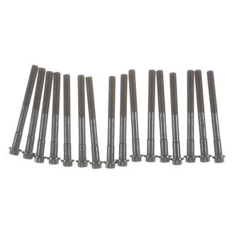Mahle® - OEM Standard Cylinder Head Bolt Set without Washers