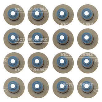 Victor Reinz® - Valve Stem Oil Seal Set