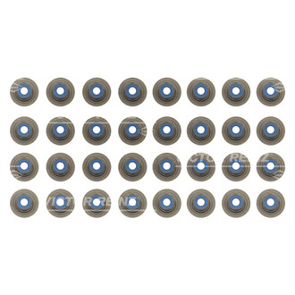 Victor Reinz® - Intake/Exhaust Valve Stem Oil Seal Set