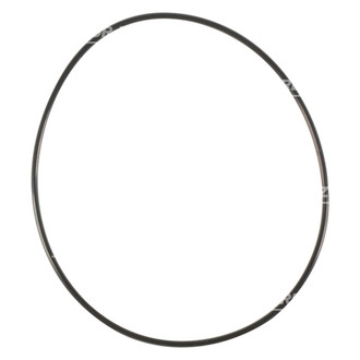 Victor Reinz® - Engine Coolant Water Pump O-Ring