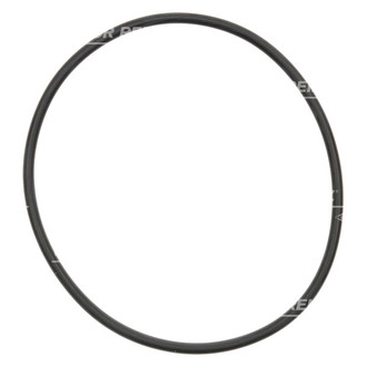 Victor Reinz® - Water Pump Gasket