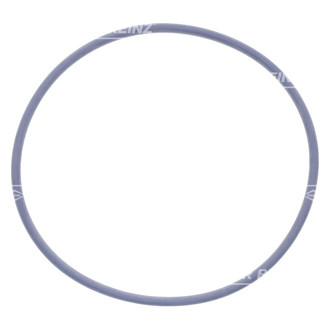 Victor Reinz® - Water Pump Gasket