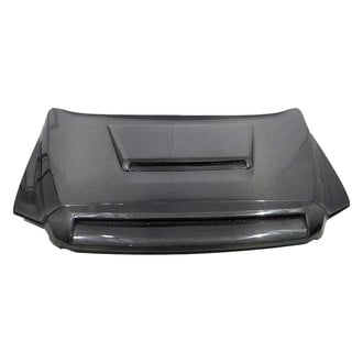 VIS Racing® - TNR Style Carbon Fiber Hood