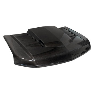 VIS Racing® - TMS Style Carbon Fiber Double Sided Hood