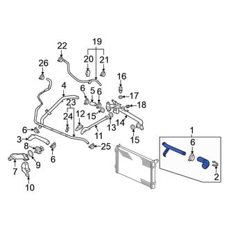 Volkswagen OE - Upper Radiator Coolant Hose
