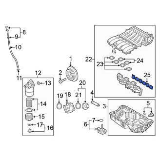 Volkswagen OE - Engine Intake Manifold Gasket