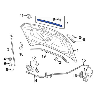 Volkswagen OE - Front Center Hood Seal
