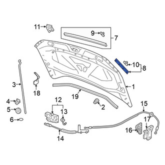 Volkswagen OE - Front Outer Hood Seal