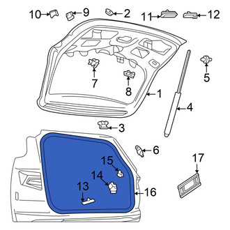 Volkswagen OE - Rear Hatch Seal