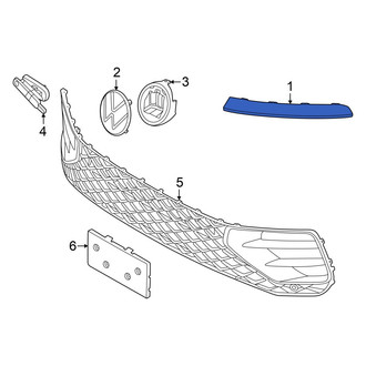 Volkswagen OE - Front Center Grille