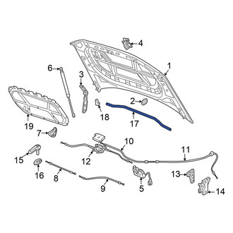 Volkswagen OE - Front Hood Seal