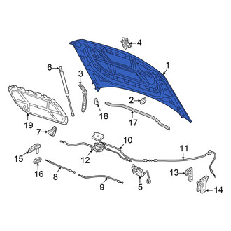 Volkswagen OE - Front Hood Panel