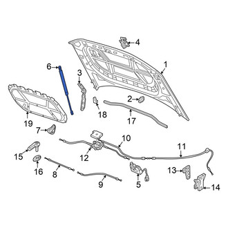 Volkswagen OE - Front Hood Lift Support