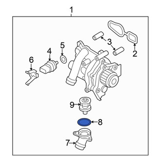 Volkswagen OE - Engine Coolant Thermostat Housing Seal