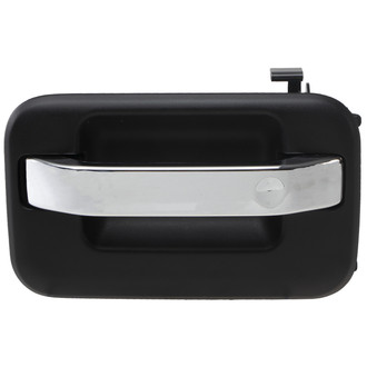 WAI Global® - Rear Driver Side Exterior Door Handle