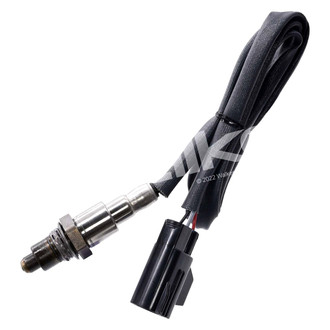 Walker Products® - Oxygen Sensors