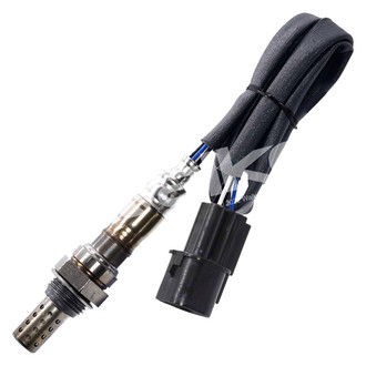 Walker Products® - Oxygen Sensor