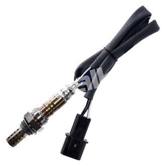Walker Products® - Oxygen Sensor