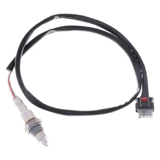 Walker Products® - Oxygen Sensor