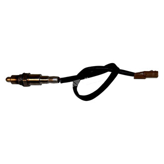 Walker Products® - Oxygen Sensors