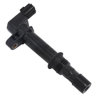 Walker Products® - Ignition Coil Set