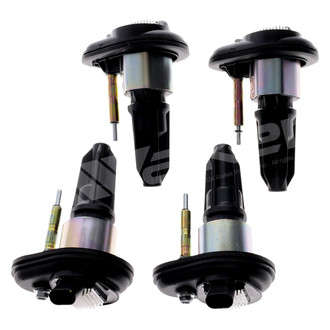 Walker Products® - Ignition Coil Set