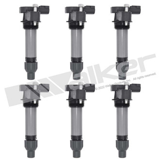 Walker Products® - Ignition Coil Set