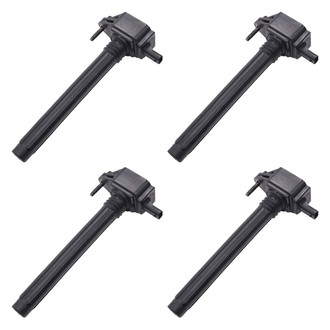 Walker Products® - Ignition Coil Set