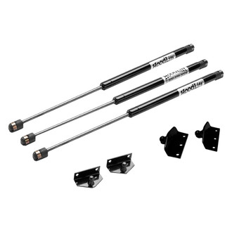 Warrior® - Hood Lift/Tailgate Combo Kit