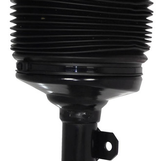 Westar® - Strut