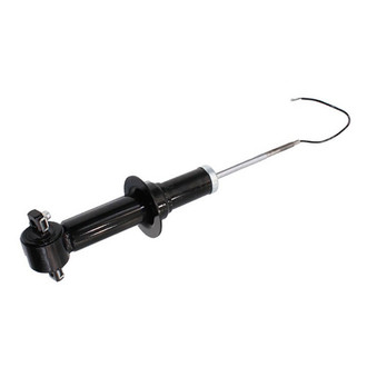 Westar® - Front Driver or Passenger Side Strut