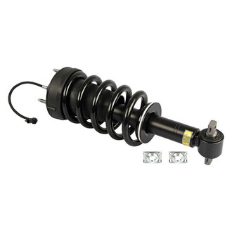 Westar® - Front Driver or Passenger Side Strut