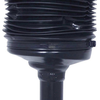 Westar® - Front Passenger Side Strut