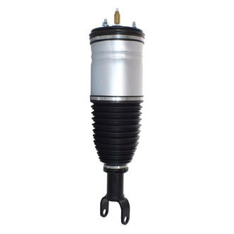 Westar® - Front Driver or Passenger Side Complete Strut Assembly