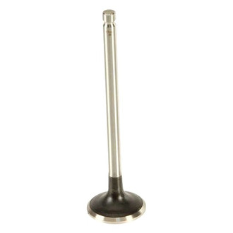 AE® - Exhaust Valve