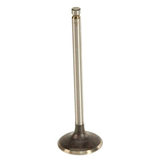 AE® - Intake Valve
