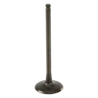 AE® - Intake Valve