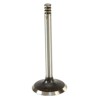 AE® - Intake Valve