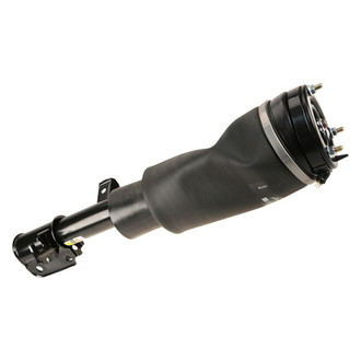 Arnott® - Front Passenger Side Air Strut Assembly